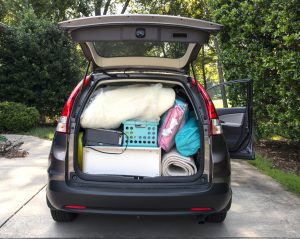 professional auto transport