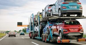 snowbird transport service