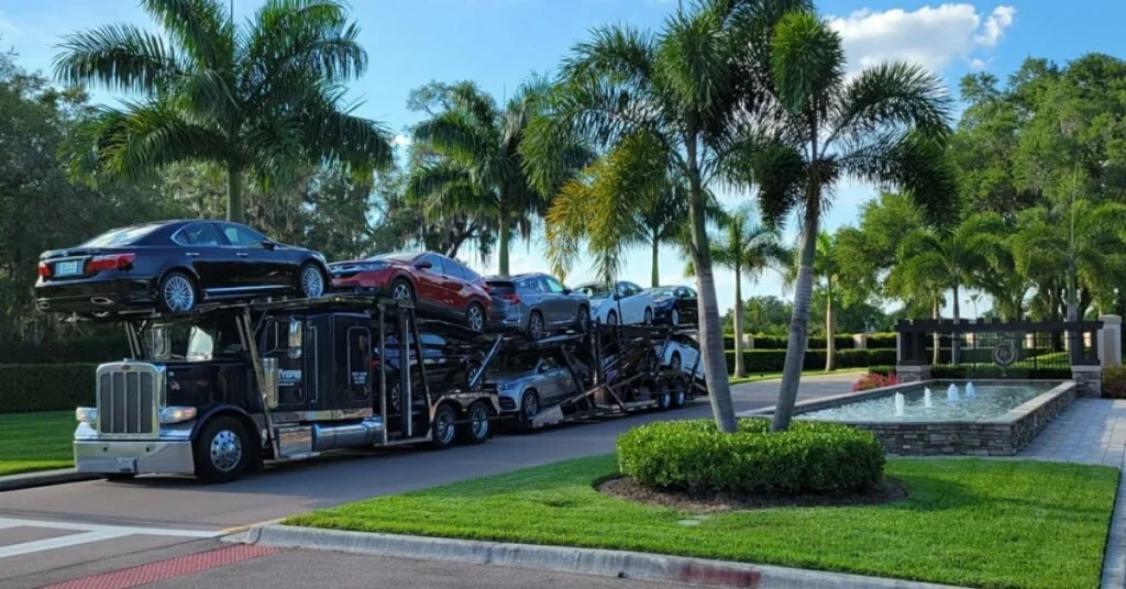 Car transport truck carrying multiple vehicles near a tropical landscape with palm trees